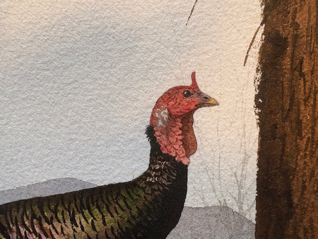 Painting of wild turkeys by David Hagenbaumer - turkey enlarged