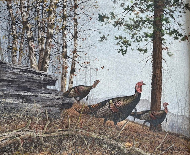 Painting of wild turkeys by David Hagenbaumer - cropped image