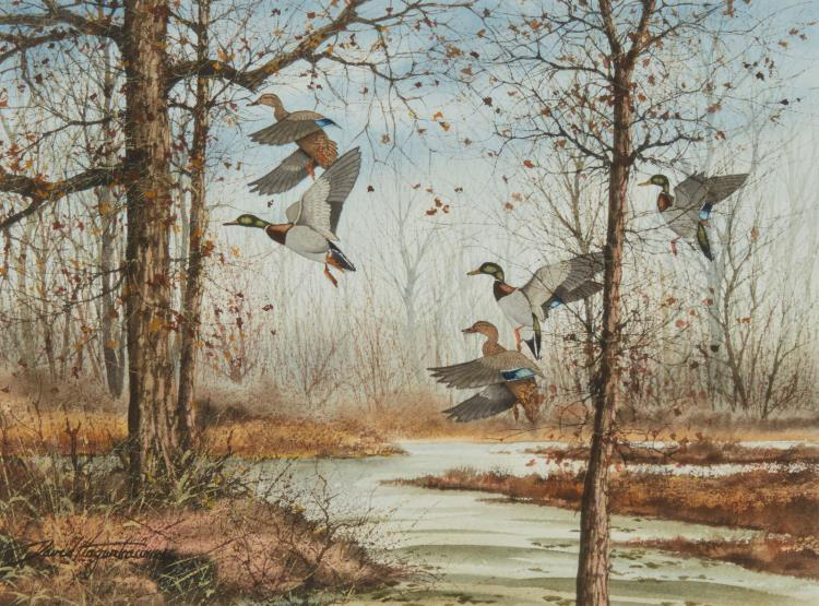 painting of mallard ducks rising off a river