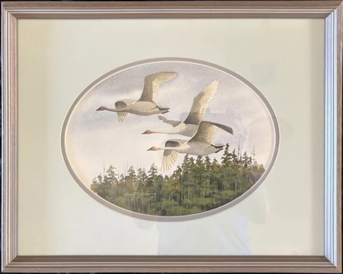 Hagerbaumer, David – Swans